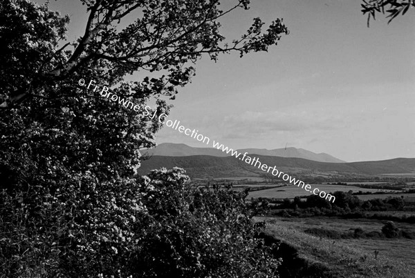 GALTEES FROM TIPPERARY